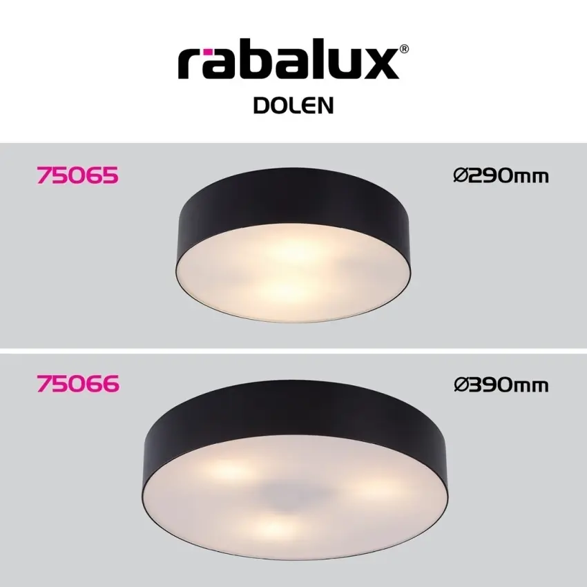 83731499_RABALUX_Foto7.jpg