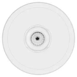LDV_asset-9490137.jpg