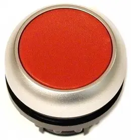 EA_216617.jpg