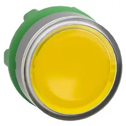 83708300_SCHNEIDER__Foto1.jpg