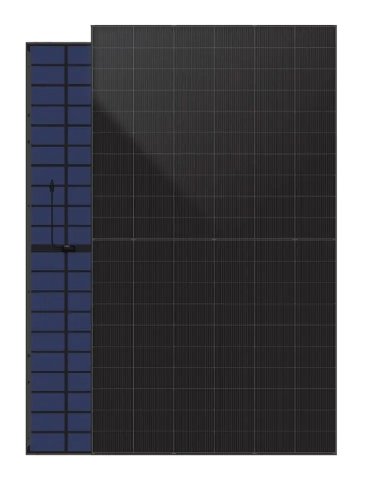 83698413_1.jpg
