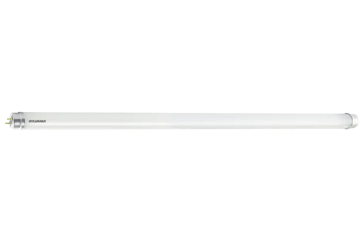SYL_0029298.jpg
