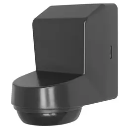 LDV_asset-6805556.jpg