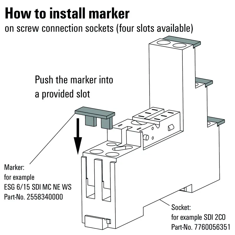 WM_PV_77600563518100_EN.jpg