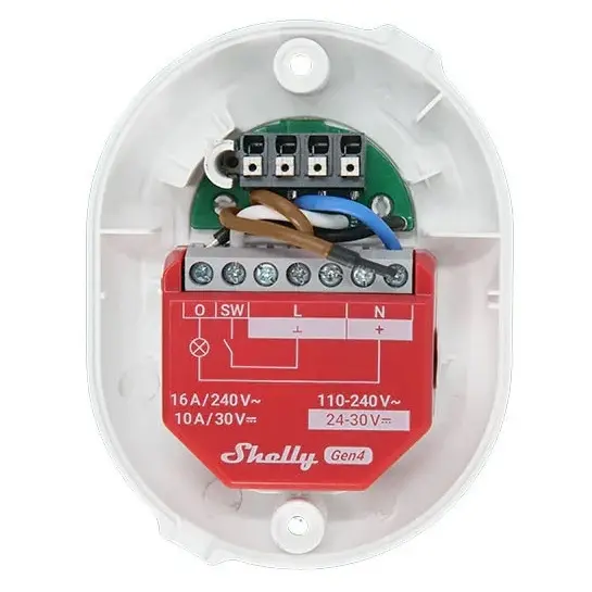 83727246_SHELLY_Foto8.jpg