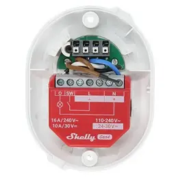 83727246_SHELLY_Foto8.jpg