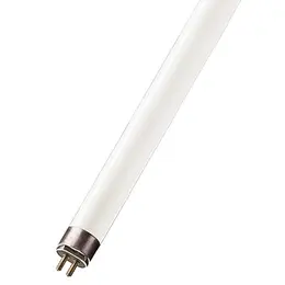 NBB_105014830.jpg