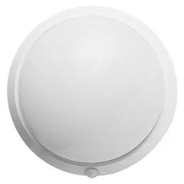 PAN_OLGA_B_FRONT.jpg