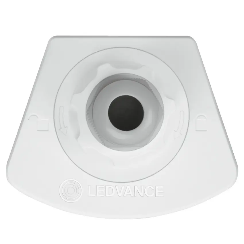 LDV_asset-2266060 (2).jpg