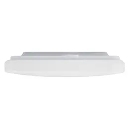 LDV_asset-13103471.jpg