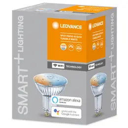 LDV_asset-10863357.jpg