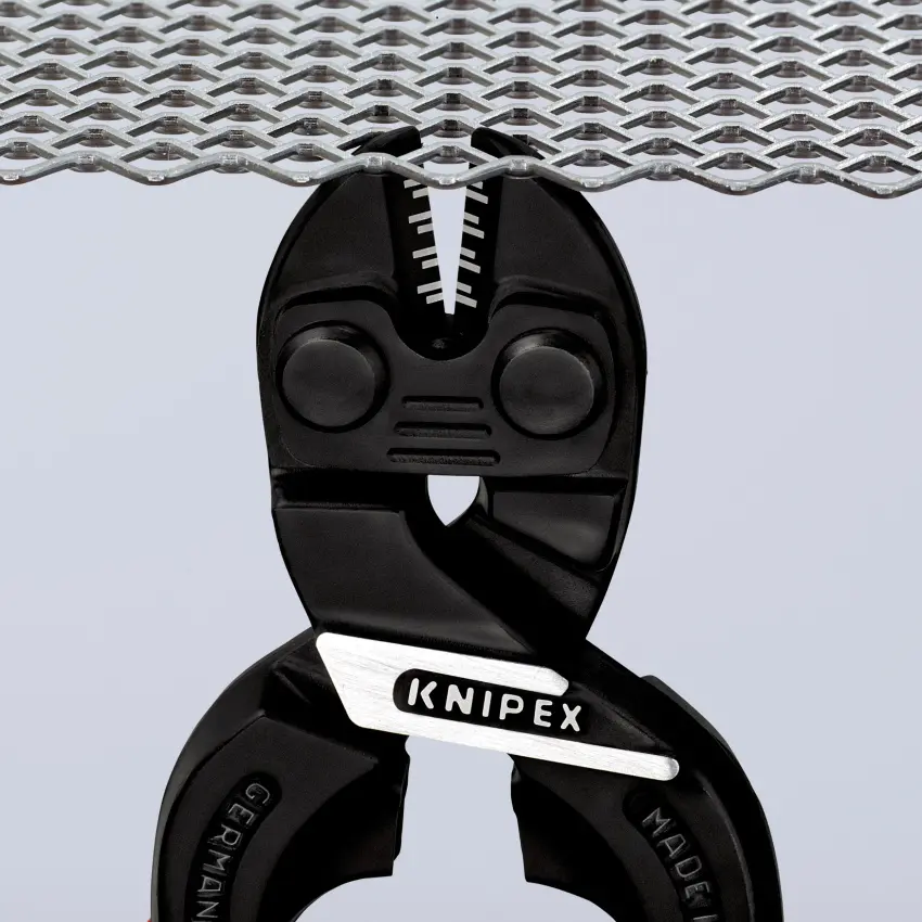 KN_IM0010005.jpg