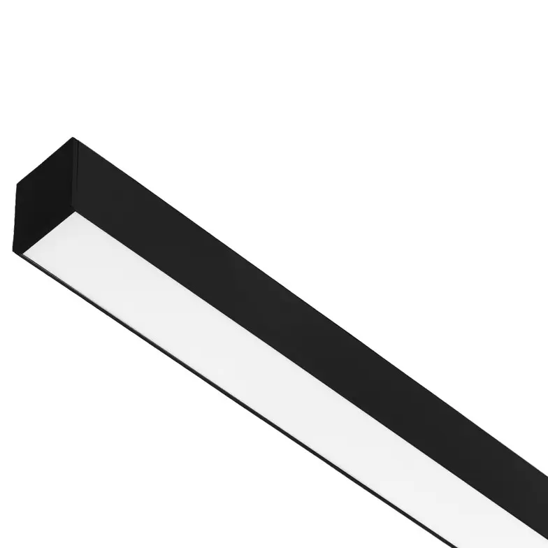 MCL_2339342.jpg