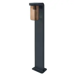 asset-12213078.jpg