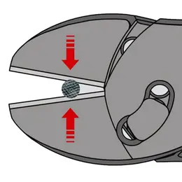 KN_IM0009981.jpg