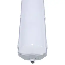 83730295_TREVOS_Foto5.jpg
