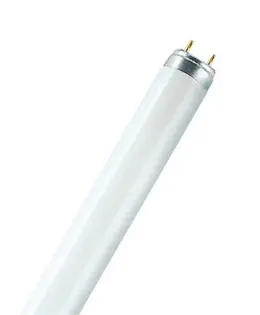 osram-dam-283645.jpg