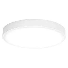 LDV_asset-13133414.jpg