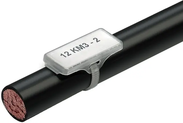 WM_1610700000.jpg
