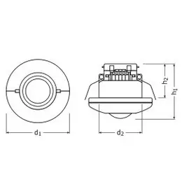 LDV_asset-3593742.jpg
