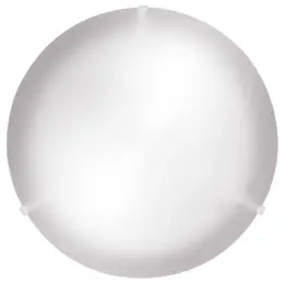 CO_2356.jpg