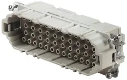 WM_1826770000.jpg