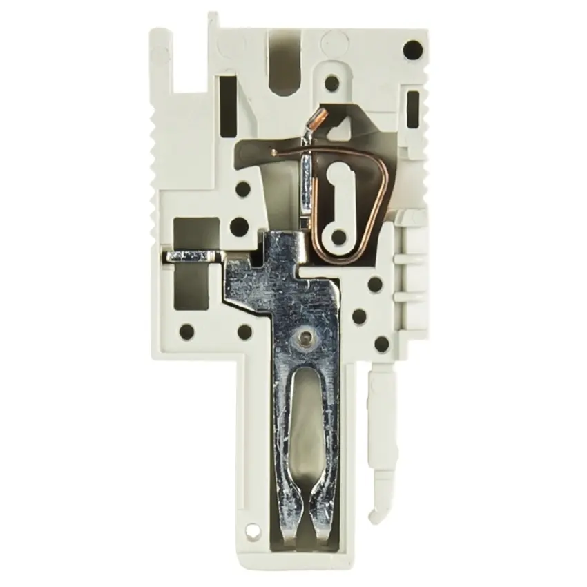 SM_101_23655.jpg