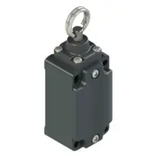 SM_PZ-FD576.jpg