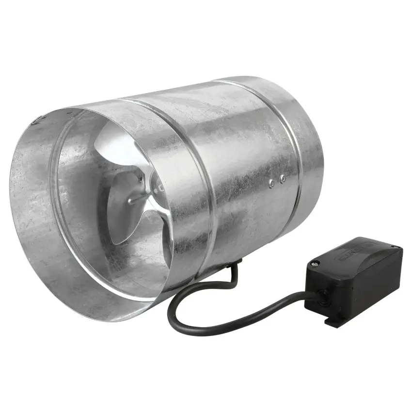 ELEM_1009561.jpg