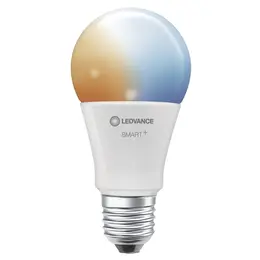 LDV_asset-10915191.jpg