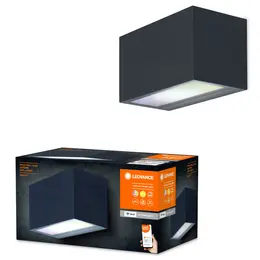 LDV_asset-13096535.jpg
