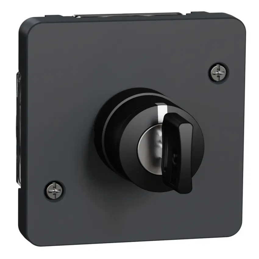SCH_MUR35061_IoPdef_PMP19.jpg