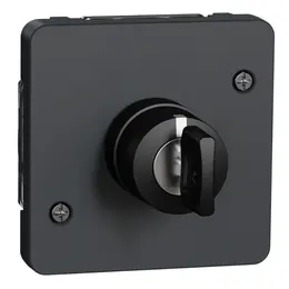 SCH_MUR35061_IoPdef_PMP19.jpg
