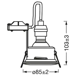 LDV_4058075573031.jpg