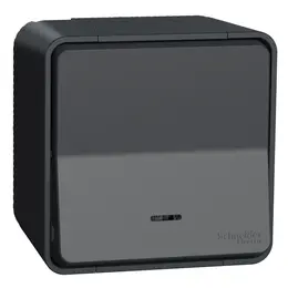SCH_MUR35024_IoPdef_PMP19.jpg