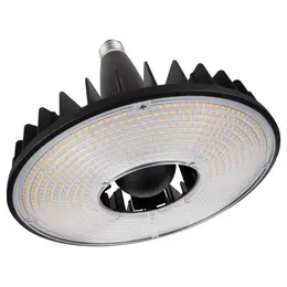 LDV_asset-13065552.jpg
