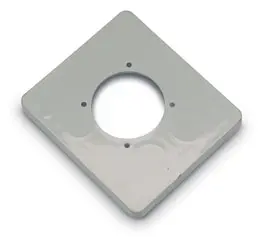 3905.jpg