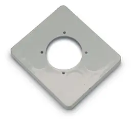 3905.jpg
