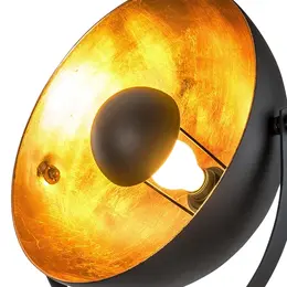 GLO_40150145X_3.jpg
