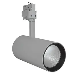 LDV_asset-3264897.jpg