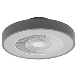 LDV_asset-12966581.jpg