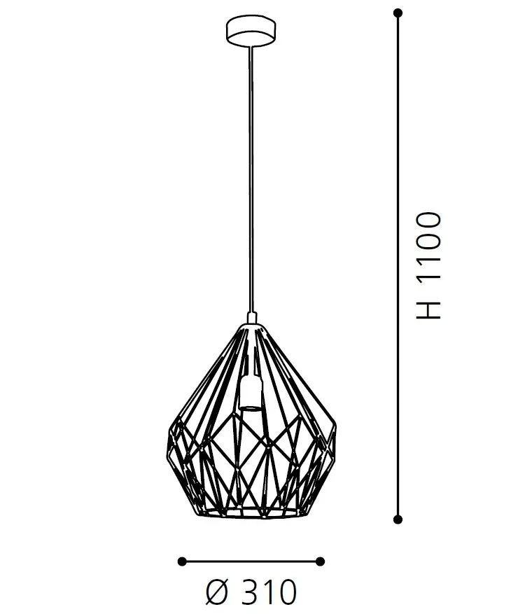 EGL_49258_size.jpg