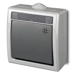 19080.jpg