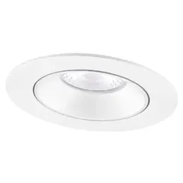 LDV_asset-13076738.jpg