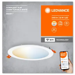 LDV_4058075573277_255.jpg