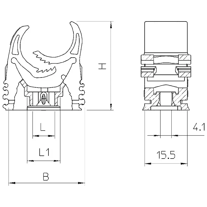 OBO_2153106_MZ1.jpg