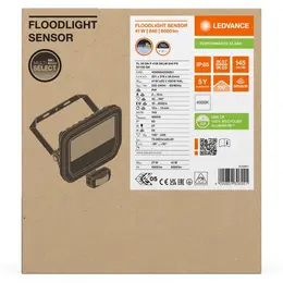 LDV_asset-13217753.jpg