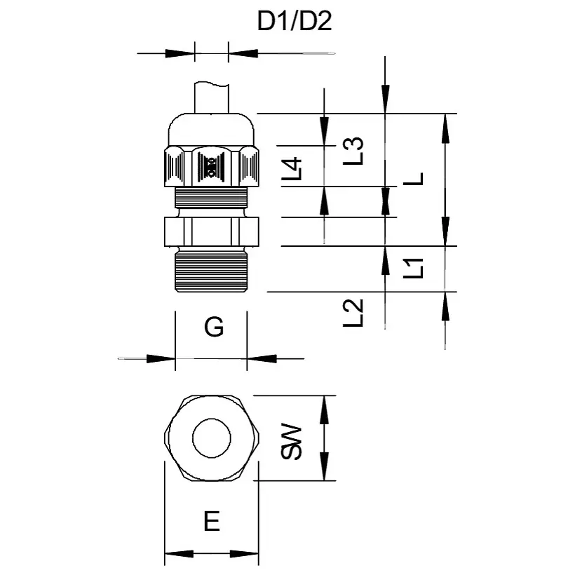 OBO_2022605_MZ1.jpg
