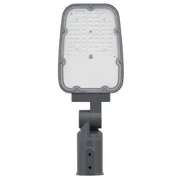 LDV_asset-13061764.jpg
