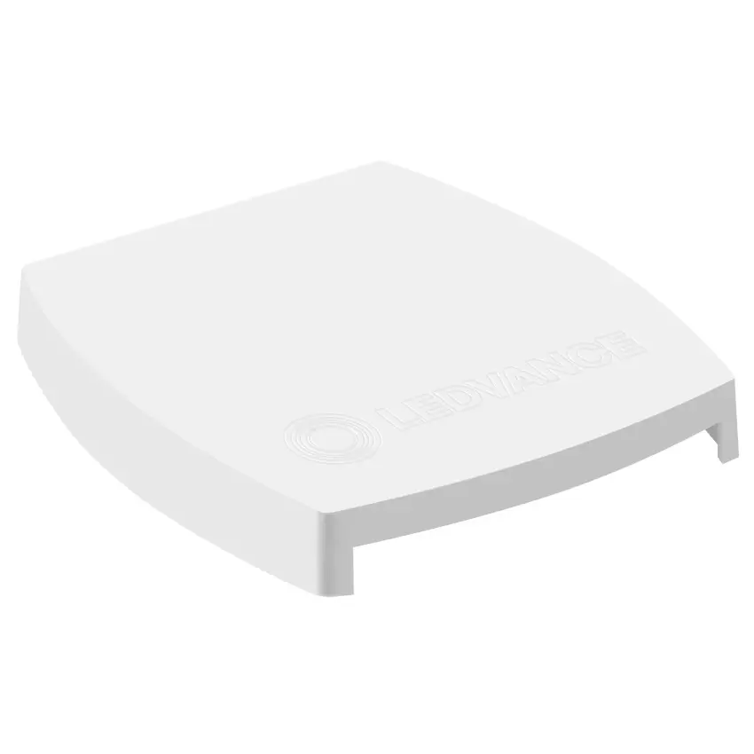 LDV_asset-5965204.jpg